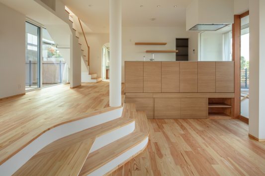 堺市西区の家-park view house2-