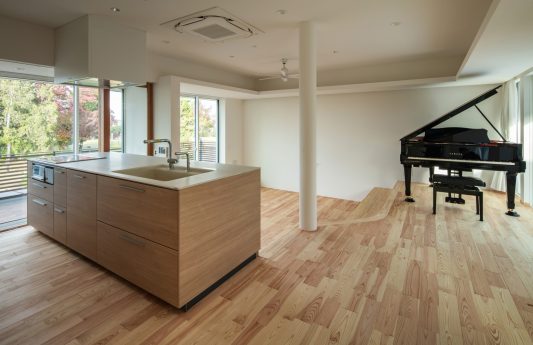 堺市西区の家-park view house2-